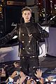 bieber-tree