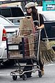 vanessa-grocery