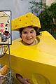 aa-cheese