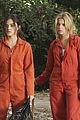 pll-fight