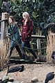 swift-zoo