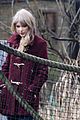 swift-zoo