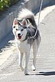 miley-floyd