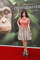 debby-chimpanzee