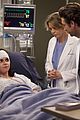 marano-greys