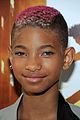 willow-bn