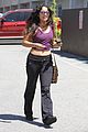 hudgens-purple