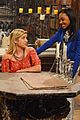 ant-farm-images