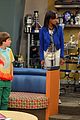 ant-farm-images
