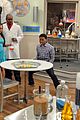 ant-farm-images