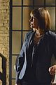 pll-feather
