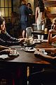 pll-feather