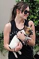 carroll-puppy