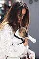 jamie-puppy