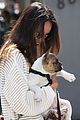 jamie-puppy