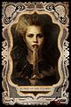tvd-cw-posters