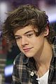 1d-hormiguero