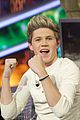 1d-hormiguero
