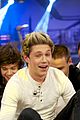1d-hormiguero