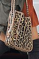 tisdale-leopard