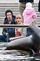 swift-harry
