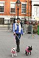 vanessa-dogs