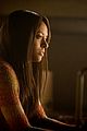 tvd-special