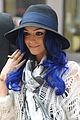 cher-bluehair