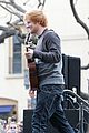 sheeran-grove