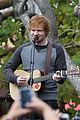 sheeran-grove
