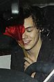styles-dinrs