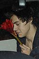 styles-dinrs