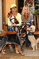 michalka-dogs