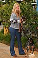 michalka-dogs
