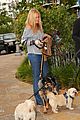 michalka-dogs