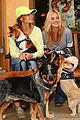 michalka-dogs