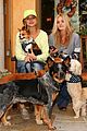 michalka-dogs