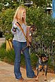 michalka-dogs