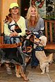 michalka-dogs