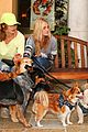michalka-dogs