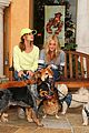 michalka-dogs