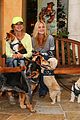 michalka-dogs