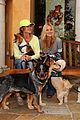 michalka-dogs
