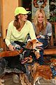 michalka-dogs