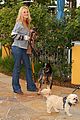 michalka-dogs
