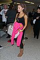 ariana-lax