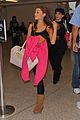 ariana-lax