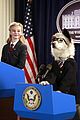 dog-prez