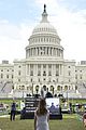 jackie-capitol