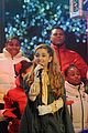 ariana-tree